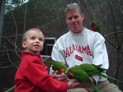 Lorikeets eating from Ben's Hands